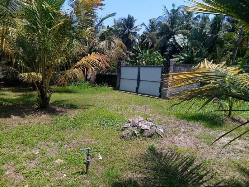 Land for Sale in Pamunugama