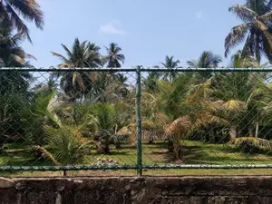 Land for Sale in Pamunugama
