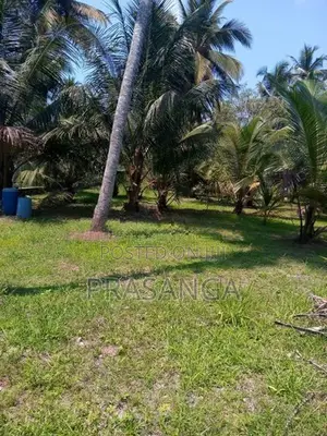 Land for Sale in Pamunugama