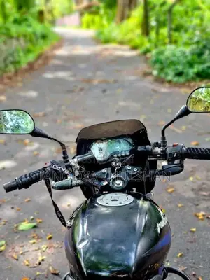 Bajaj Pulsar 150 2014