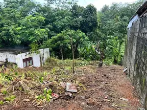 Land for Sale in Kesbawa Bandaragama Road Welmilla