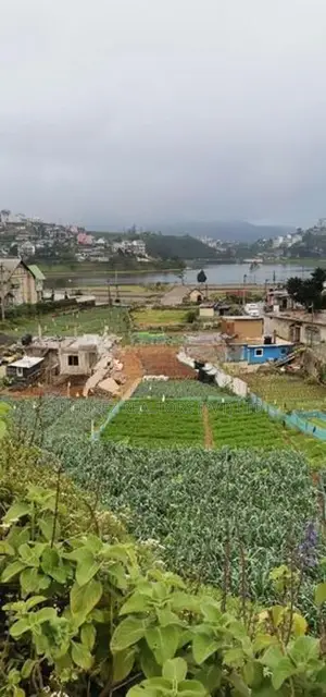 Farming Land for Sale – Nuwara Eliya