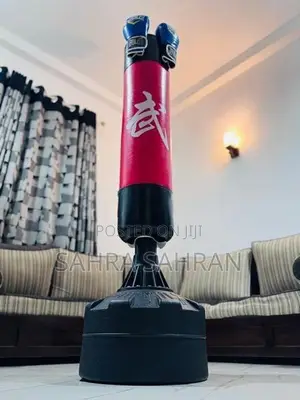 Punching Bag Set