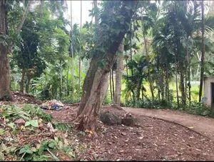 Land for Sale Galle