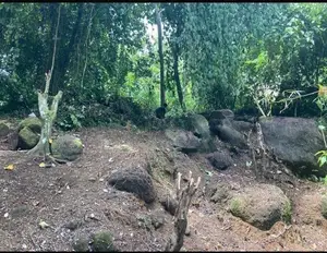 Land for Sale Galle
