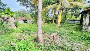 Ja Ela Perfect Residential Land for Sale