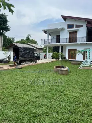 Malaysian Grass