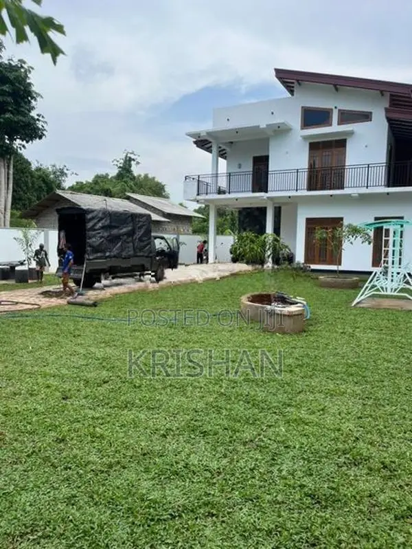 Malaysian Grass