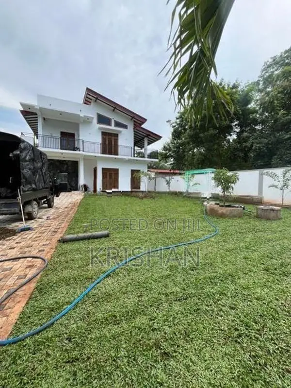 Malaysian Grass