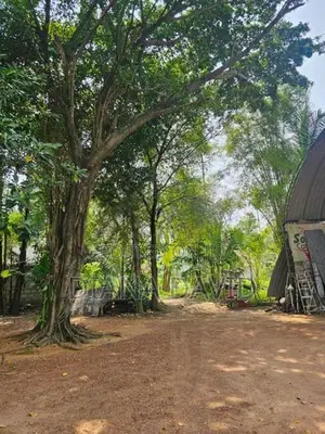 Prime Residential Land For Sale Boralesgamuwa