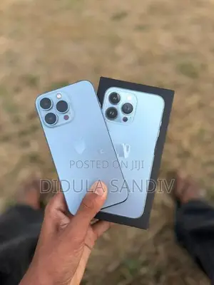 Apple iPhone 13 Pro (Used)