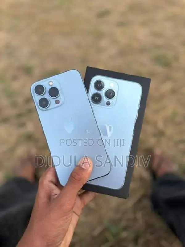 Apple iPhone 13 Pro (Used)