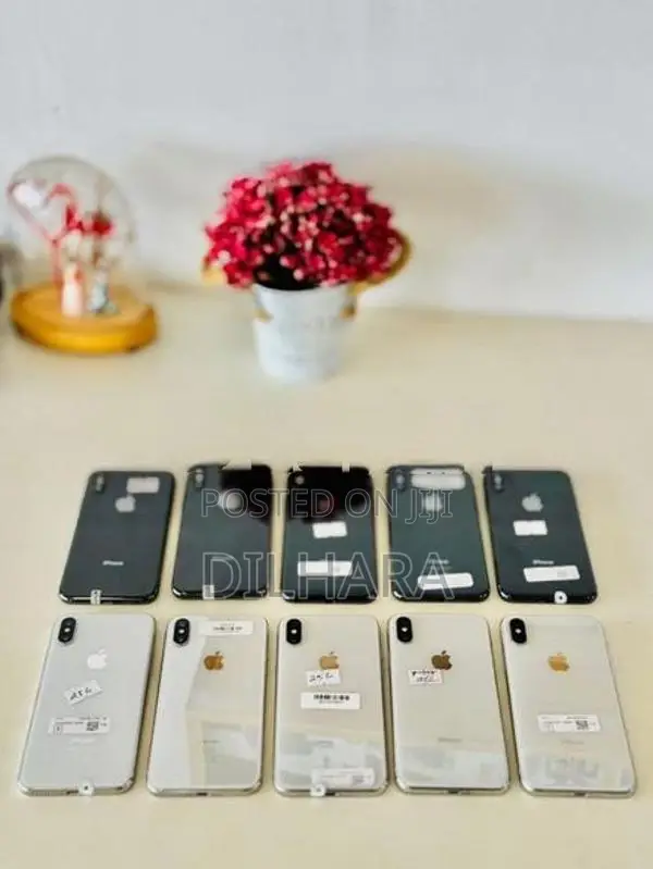 Apple iPhone X 256GB (Used)