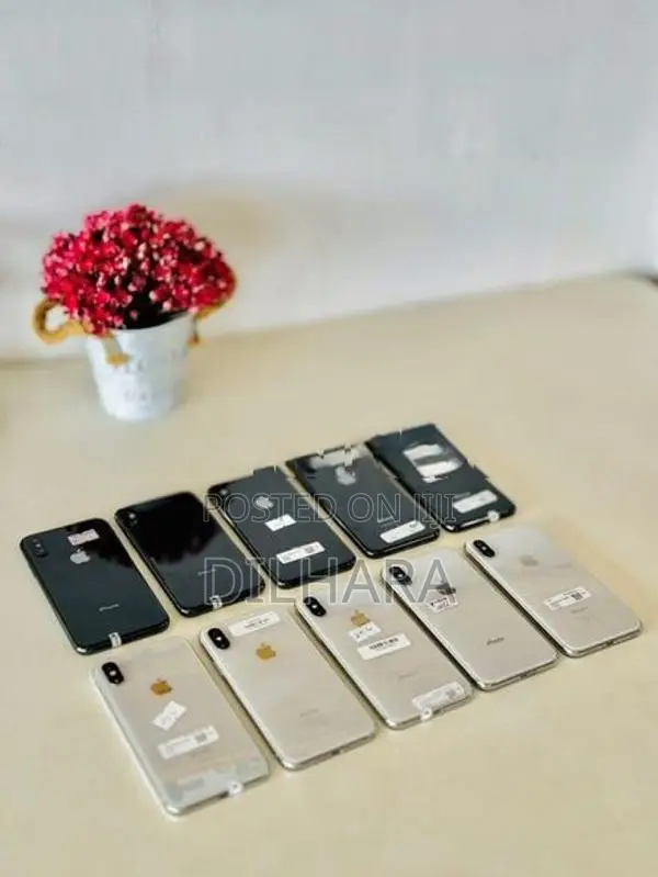 Apple iPhone X 256GB (Used)