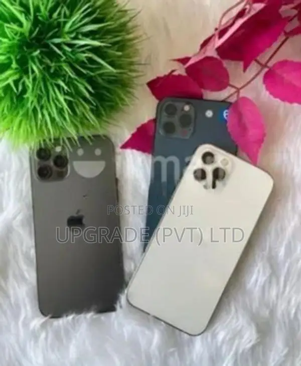 Apple iPhone 12 Pro 256GB (Used)
