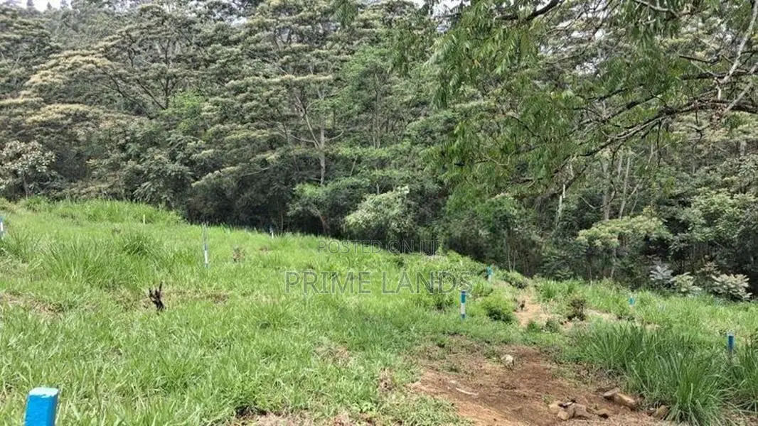 Valuable Land for Sale in Pussellawa