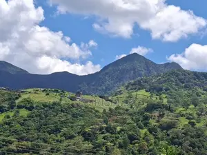Knuckles Range View Land in Hunnasgiriya