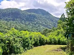 Knuckles Range View Land in Hunnasgiriya