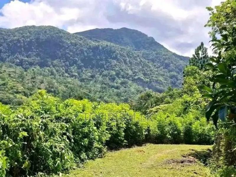 Knuckles Range View Land in Hunnasgiriya