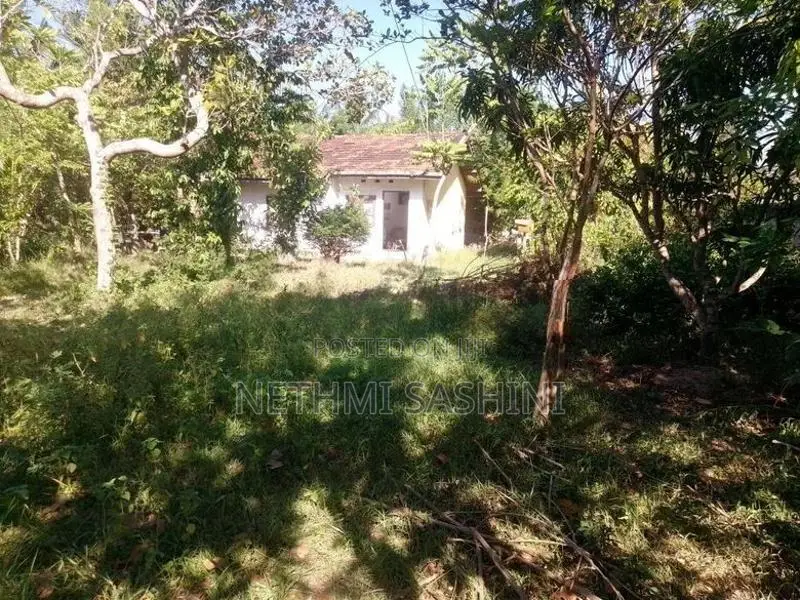 House for Sale Ampara