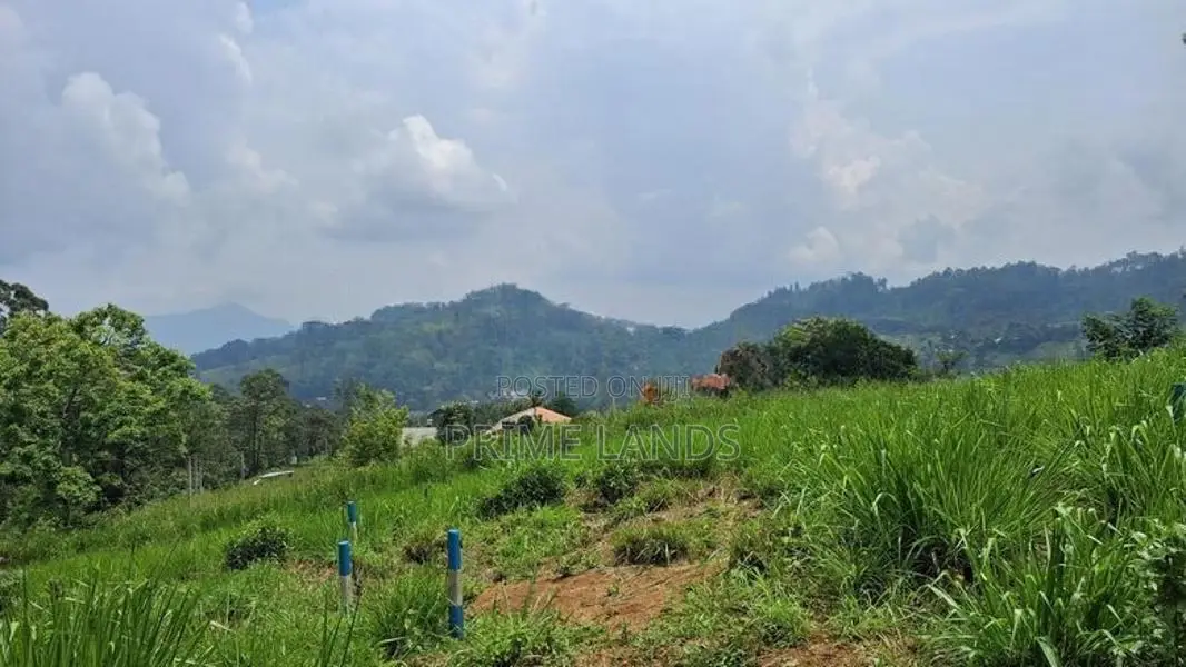 Valuable Land for Sale in Pussellawa