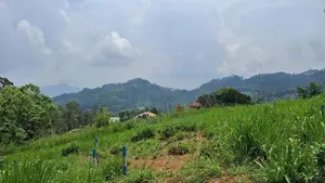 Valuable Land for Sale in Pussellawa