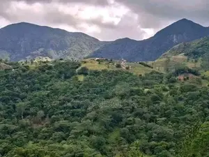 Knuckles Range View Land in Hunnasgiriya