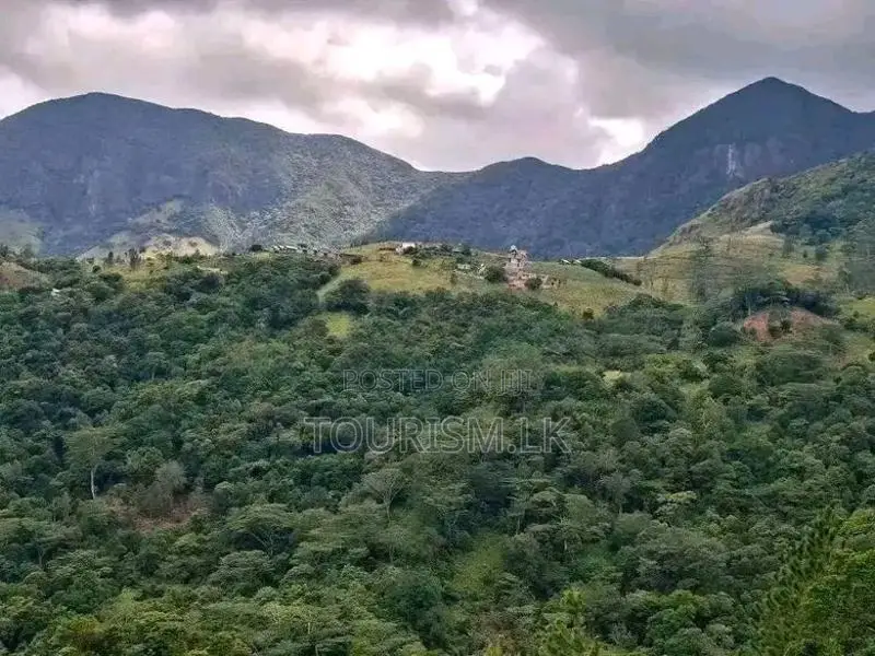 Knuckles Range View Land in Hunnasgiriya