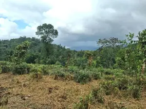 Residential Land for Sale in Kandy Pilimatalawa