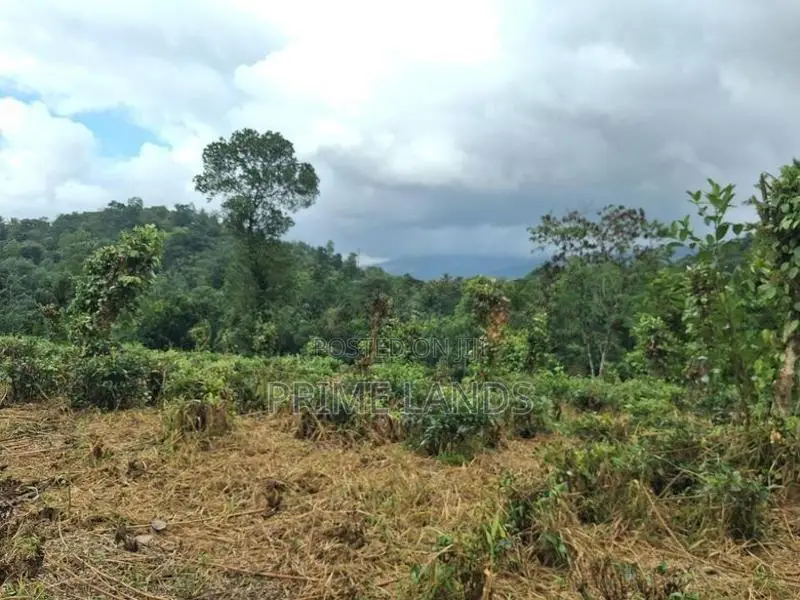 Residential Land for Sale in Kandy Pilimatalawa