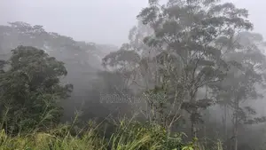 Valuable Land for Sale in Pussellawa