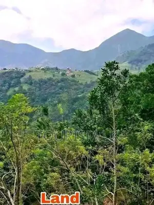 Knuckles Range View Land in Hunnasgiriya
