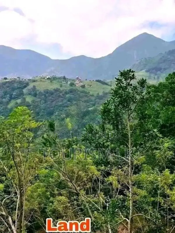 Knuckles Range View Land in Hunnasgiriya