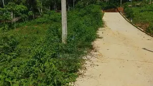 Land for Sale in Nelumdeniya