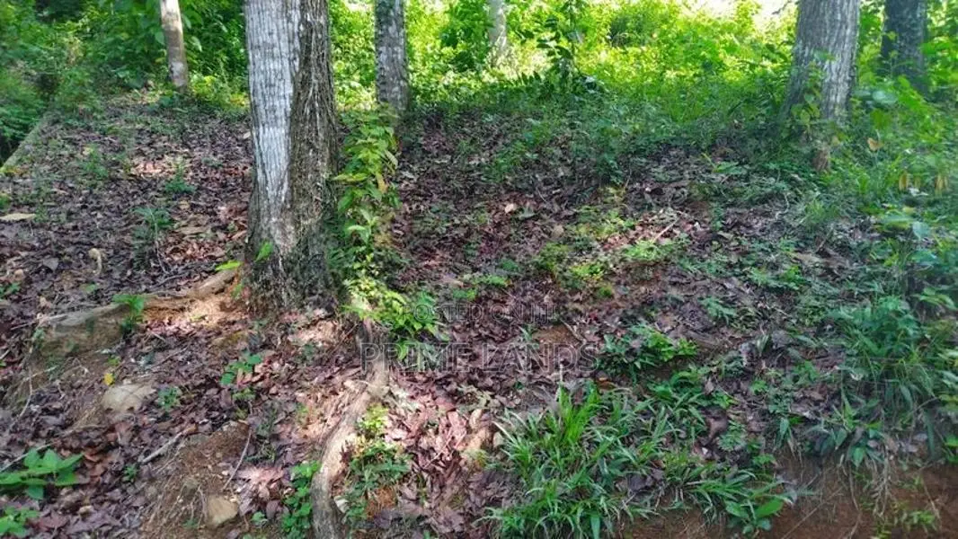 Land for Sale in Nelumdeniya