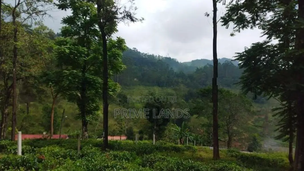 Land for Sale in Pussellawa