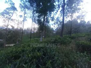 Land for Sale in Pussellawa
