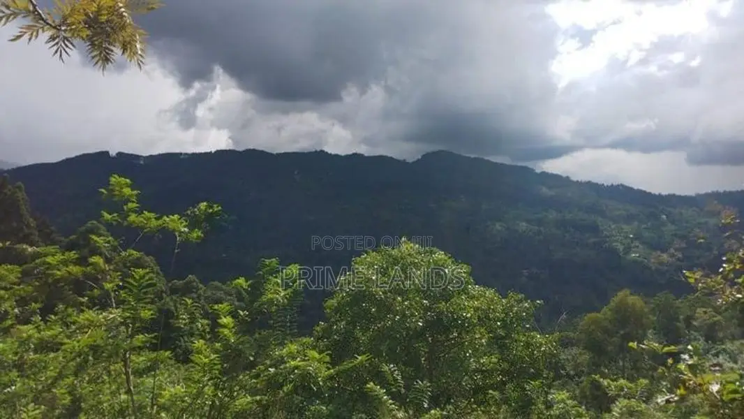 Land for Sale in Kandy Nillabe