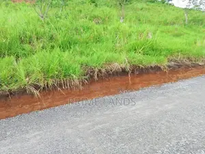 Land for Sale in Kandy Nillabe