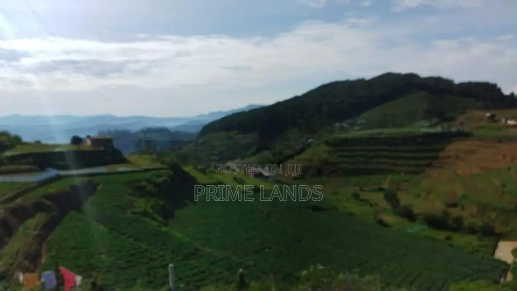 Commercial Land for Sale in Nuwaraeliya Abewela