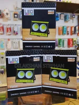 100W COB LED Flood Light