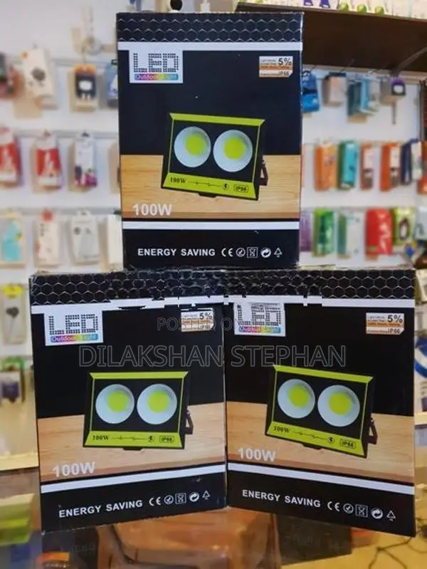 100W COB LED Flood Light