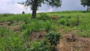 Land for Sale in Pussellawa