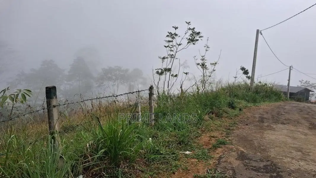Land for Sale in Pussellawa