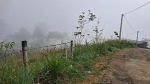 Land for Sale in Pussellawa