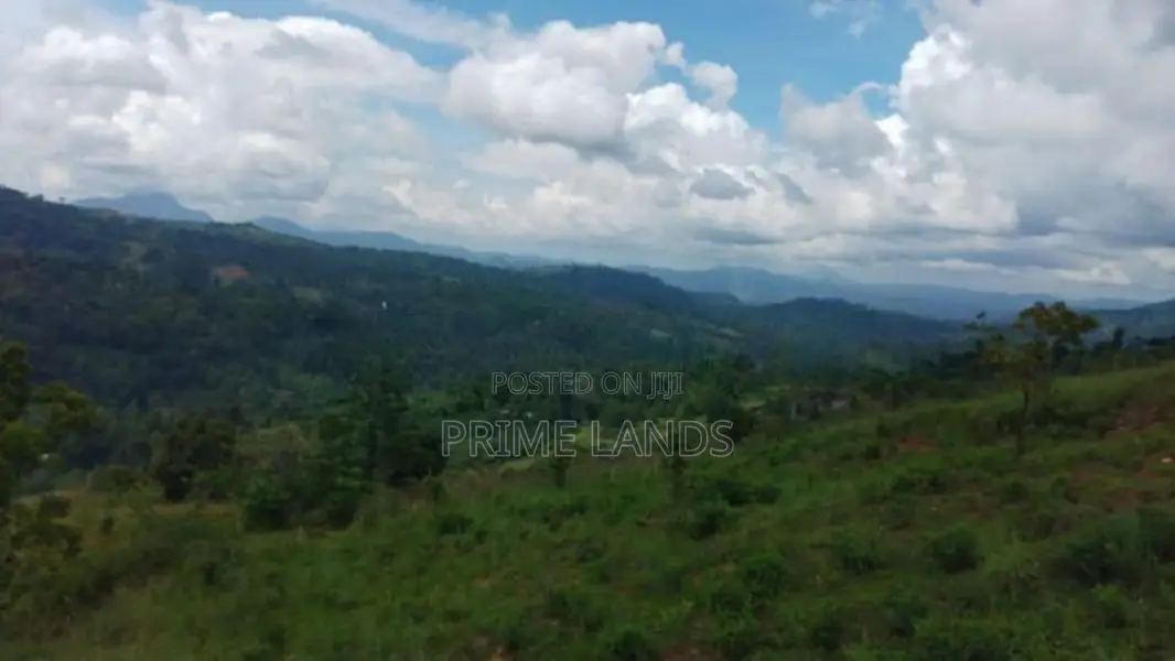 Land for Sale in Bandarawela Kontehela