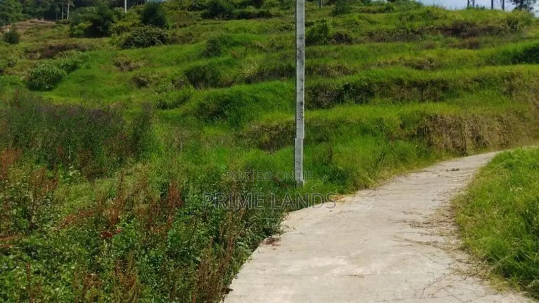 Commercial Land for Sale in Nuwaraeliya Abewela