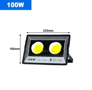 100W COB LED Flood Light