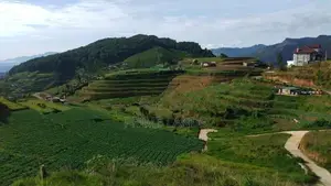 Commercial Land for Sale in Nuwaraeliya Abewela