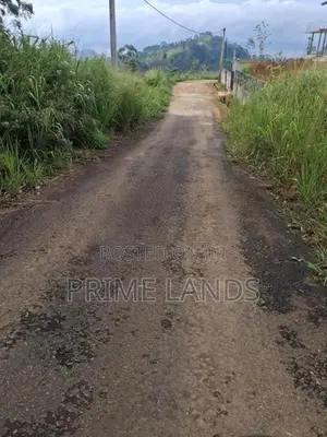 Land for Sale in Pussellawa